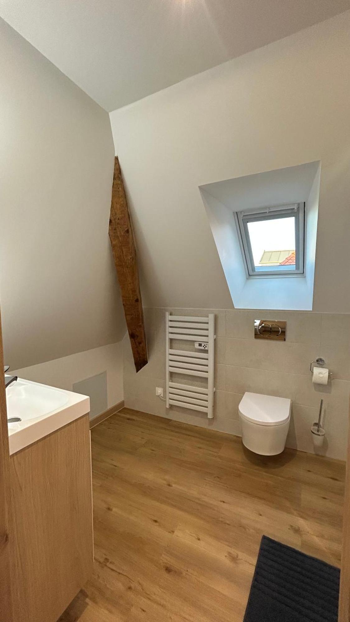 Appartement Moderne Et Spacieux, A 10 Min De La Gare Colmar Exterior foto