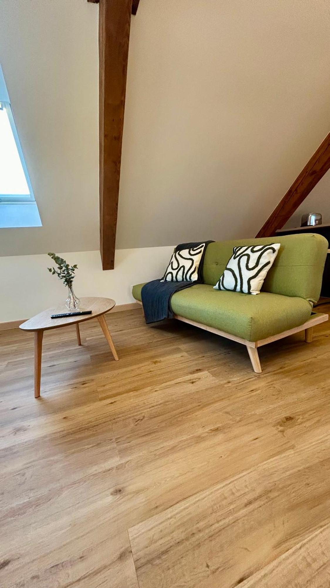 Appartement Moderne Et Spacieux, A 10 Min De La Gare Colmar Exterior foto